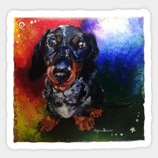 All the colours of a dachshund Sticker